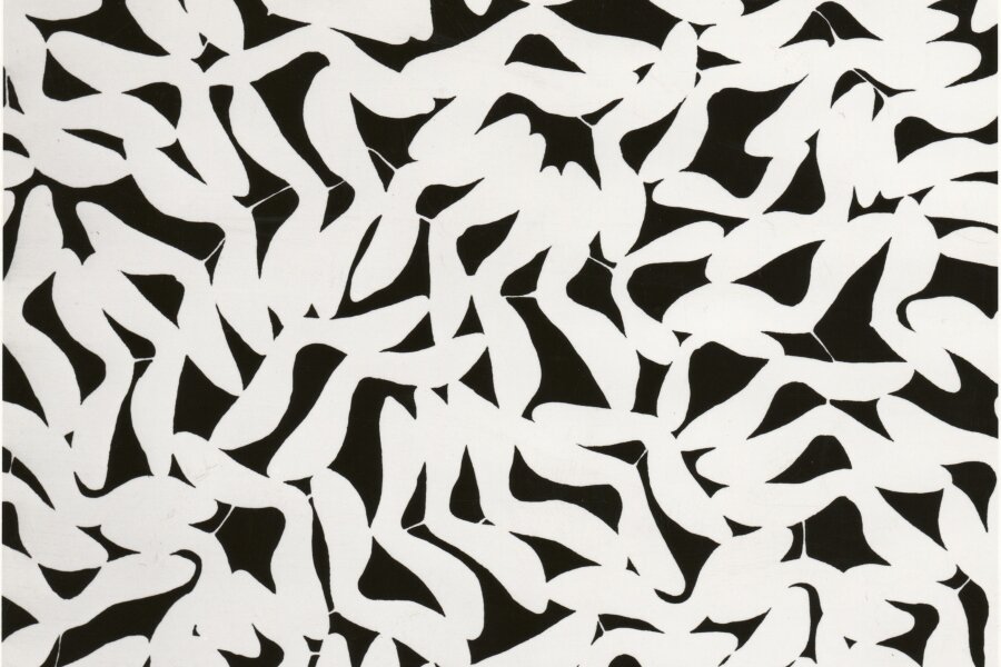 pohlednice s dílem Pavla Hayeka